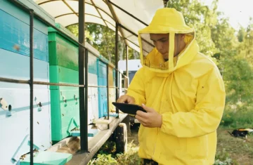 Beekeeper using tablet to monitor smart beehive conditions with RFID technology.