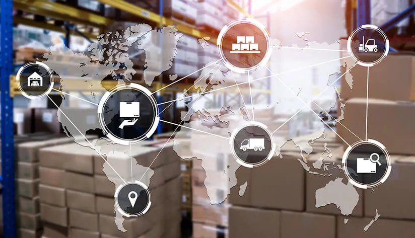 Assess the Application Environment