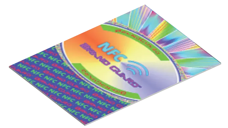 Holographic Overlay